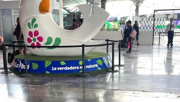 Ado - Gustavo A. Madero, Ciudad De México