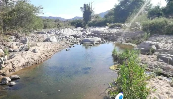 Agua Caliente Grande (De Gastelum) - Choix