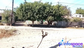 Apoderado - Apoderado