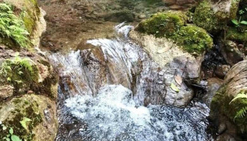 Arroyo de Banco - Arroyo De Banco