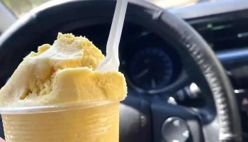 bachoco guasave - Bachoco