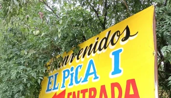 Barbacoa La Purificación Texcoco - La Purificación Tepetitla