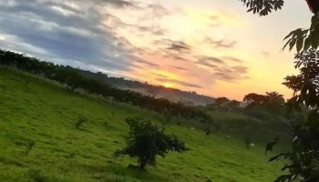 Bethania Tuxtepec Oaxaca - Oaxaca