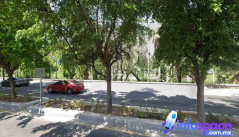 Cega Software Consultoria En Ti - Culiacán Rosales