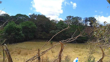 Centro de Reinserción Social de Sentenciados Número 14 el Amate - Cintalapa De Figueroa