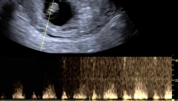 Clínica de fertilidad ViaFERT - Culiacán Rosales