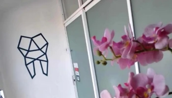 Clinidental Co - San Antonio De La Cal