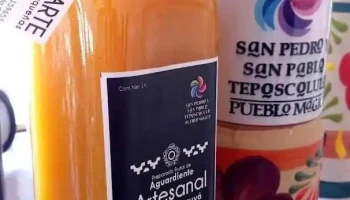 Conceptos Creativos - San Pedro Y San Pablo Teposcolula