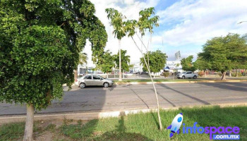 Consultores Telura - Los Mochis