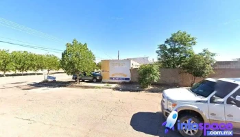 consultoria agricola - Nuevo Casas Grandes