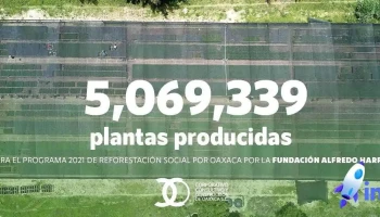 Corporativo Consultivo y Construcción de Oaxaca - Oaxaca De Juárez