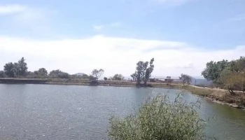 Ejido de la Finca - Ejido De La Finca