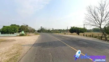 El nanche - Ver