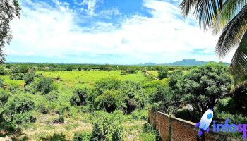 El Roble - El Roble