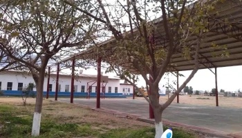 Icatech Nuevo Casas Grandes - Nuevo Casas Grandes