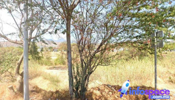 Ivd Soluciones Integrales - Sucursal Oaxaca - Oaxaca De Juárez