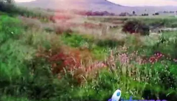 Jalpa de los Baños - Jalpa De Los Baños