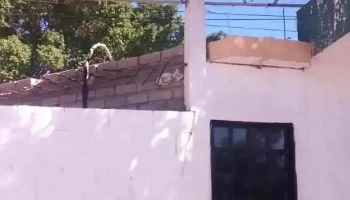 La Firma - Los Mochis