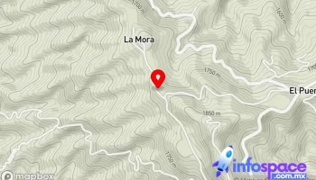 La Mora Amatepec Estado de México - Amatepec