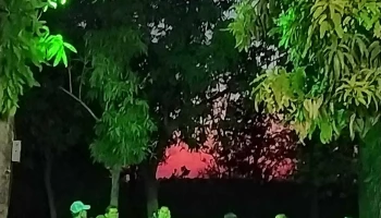 Lo De Jesus Campo Romero Sinaloa - Campo Romero Lo De Jesús