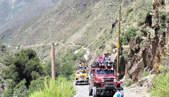 Los Willys - Real De Catorce