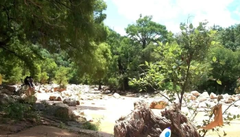 Magdalena Jaltepec - Magdalena Jaltepec