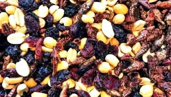 Mole Y Chocolate Rosita - Oaxaca De Juárez