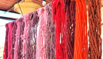 Oaxaca Cultural Navigator Llc - Teotitlán Del Valle
