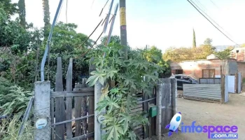 Oficinas Del Censo Bienestar - San Agustín Yatareni