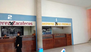 Omnibus De México - Jerez - Lagunita 8