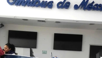 Omnibus De Mexico Metro Plaza Consulate - Juárez