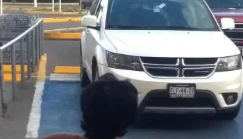 Omnibus de México sucursal Parral - Hidalgo Del Parral