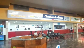 Omnibus De México - Uruapan - Uruapan