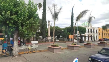 Omnibus De México - Zona Centro