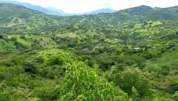 Palmar Chico - Palmar Chico