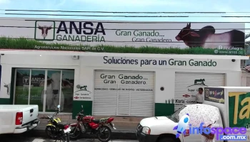 Pijijiapan - Pijijiapan