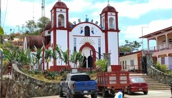 Pluma Hidalgo - Oaxaca