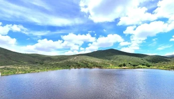 Presa Sauceda de la Borda - Zac