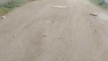 Privada los aguacatales - San Francisco Telixtlahuaca