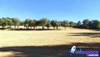 San Agustín Berros - San Agustín Berros