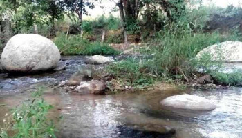 San Agustín Chayuco - Oaxaca