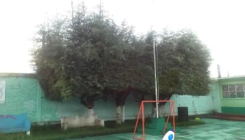 San Antonio Tlaltecahuacán - San Antonio Tlaltecahuacán
