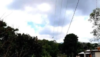 San Baltazar Loxicha - Oaxaca