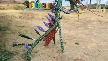 San Martín Tilcajete - Oaxaca