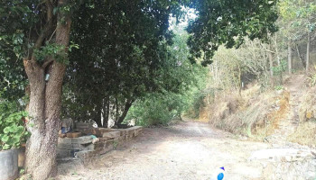 San Miguel Yuxtepec - San Miguel Yuxtepec