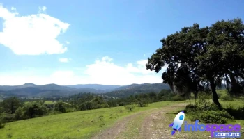 San Pedro Mártir Yucuxaco - San Pedro Mártir Yucuxaco