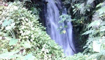 San Pedro Yólox - Oaxaca