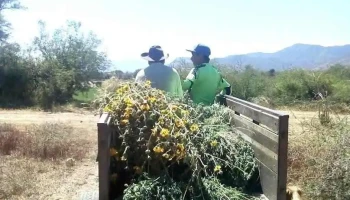 Santa Ana Tlapacoyan - Santa Ana Tlapacoyan