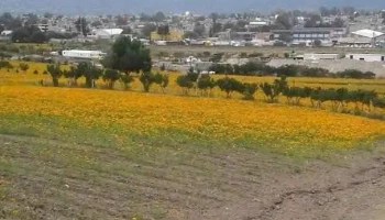 Santa Cruz Nundaco - Oaxaca