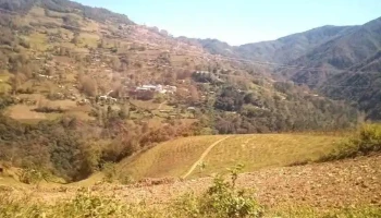 Santa María Teopoxco - Oaxaca